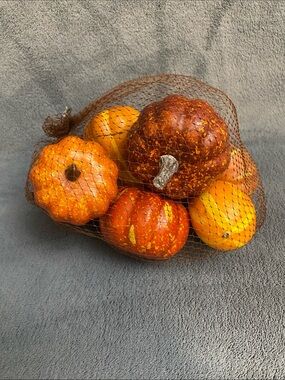 NIB 10pc Decorative Mini Pumpkins and Squashes